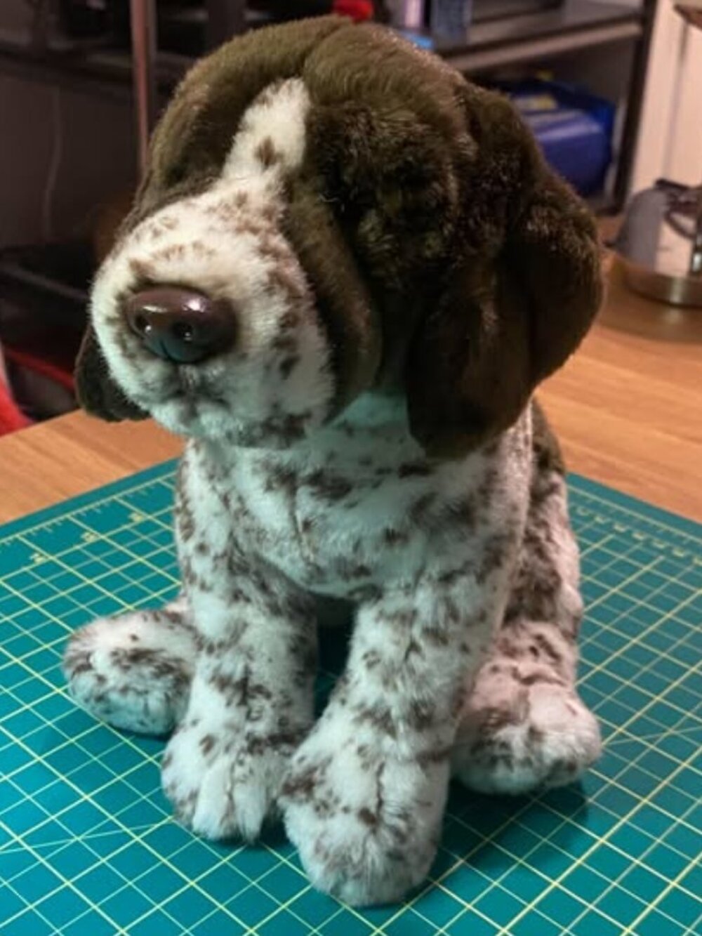 Webkinz Signature German Shorthaired Pointer